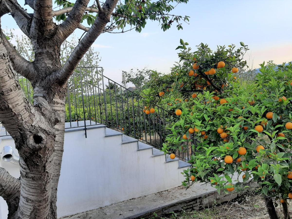 Zagara Villa Mascali Exterior photo